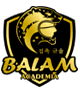 Academia Balam